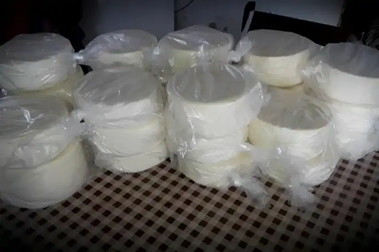 queijo caseiro com 3 ingredientes