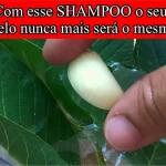 shampoo caseiro para crescer cabelo