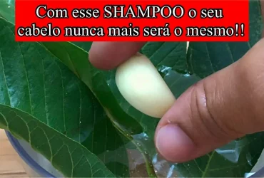 shampoo caseiro para crescer cabelo