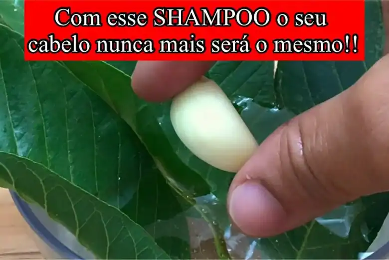 shampoo caseiro para crescer cabelo