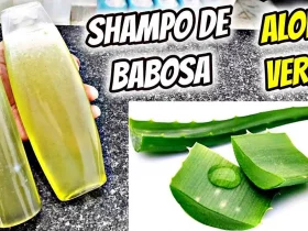 shampoo de babosa