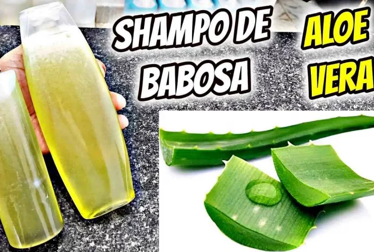 shampoo de babosa