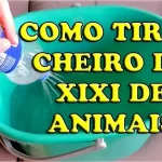 como tirar cheiro de urina de animais