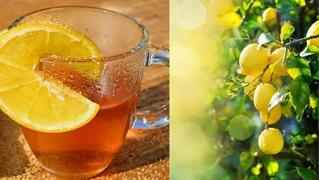 se você sofre de ansiedade você precisa ver essa receita