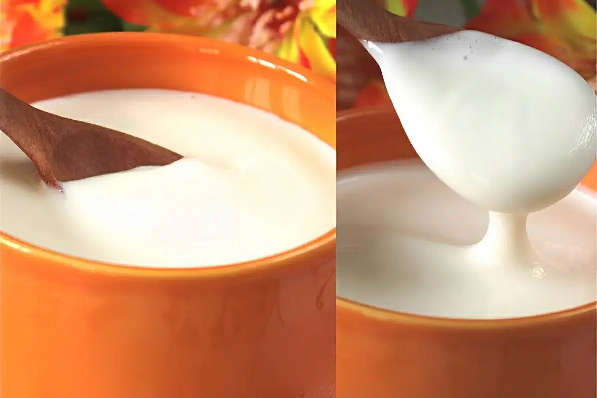 creme de leite caseiro para facilitar sua vida