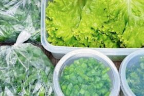 Conservar couve, alfaces e ervas frescas por 30 dias