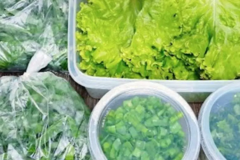 dicas de como conservar couve