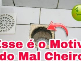 e assim que se faz para tirar mau cheiro do ralo do banheiro