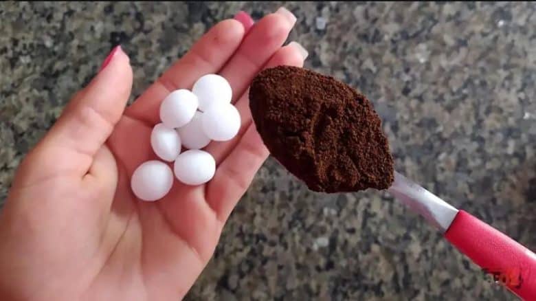 experimente colocar naftalina no pó de café