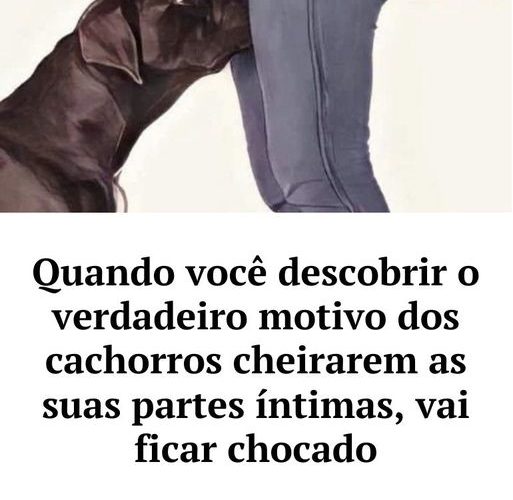 por que os cães cheiram as nossas partes íntimas