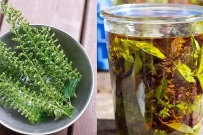 4 formas de usar as flores de manjericao 4