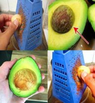 Melhore Sua Saúde Usando Caroços de Abacate