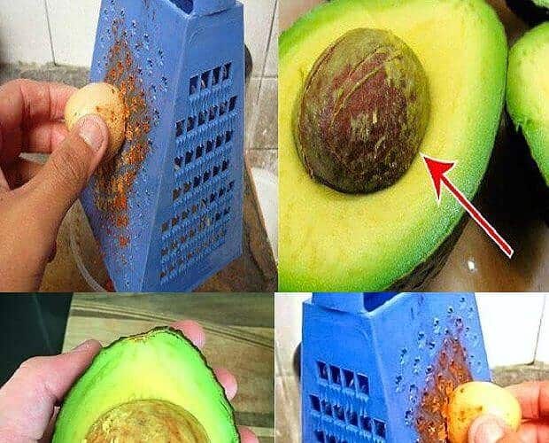 caroço do abacate fora