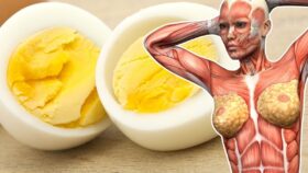 Benefícios de Comer 2 Ovos por Dia: Descubra!