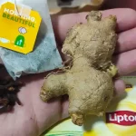 poder do chá de cravo