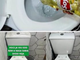 sÓ lavo banheiro com oleo de cozinha