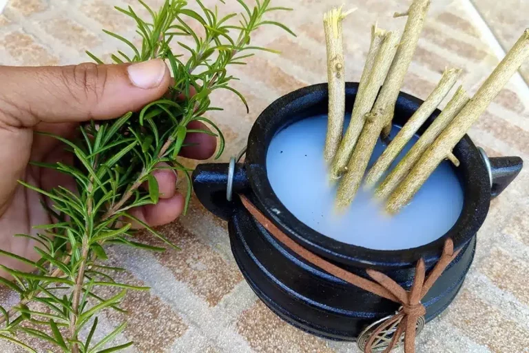 aromatizador de ambiente caseiro – canal loucos das plantas