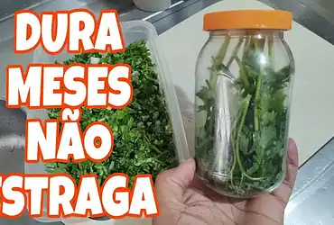 como conservar cheiro verde – canal – se vira nos 50 – receitas e dicas