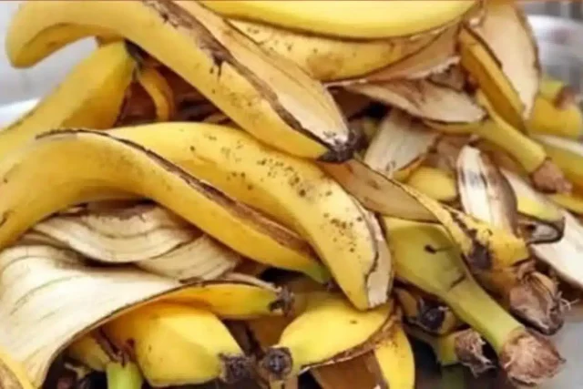 pare de jogar fora as cascas da banana.jpg