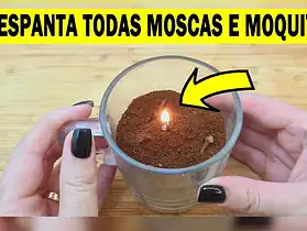 repelente de mosquitos caseiro