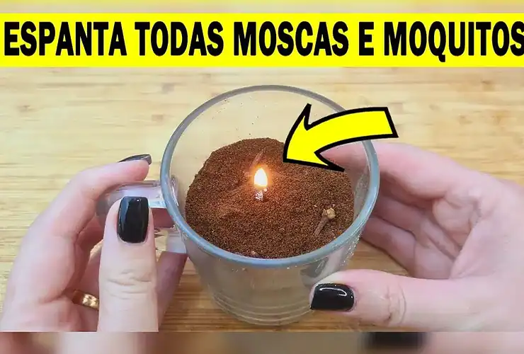 repelente de mosquitos caseiro