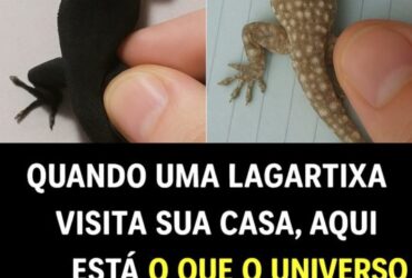 O Significado Espiritual de uma Lagartixa na Sua Casa!
