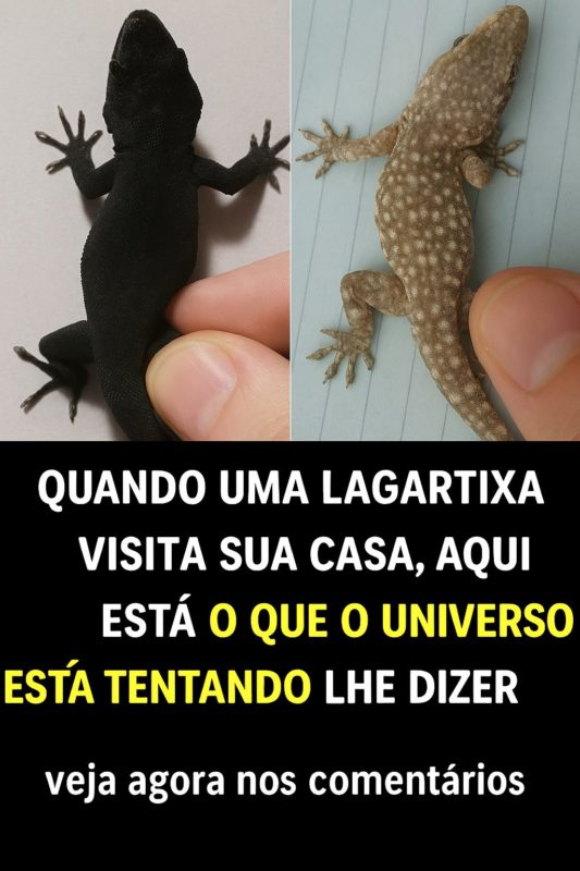 O Significado Espiritual de uma Lagartixa na Sua Casa!