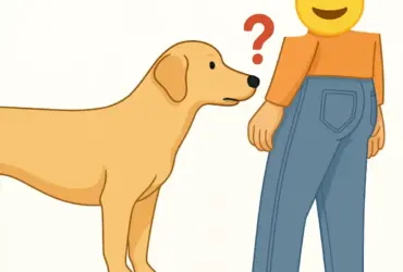 Por que cachorros cheiram pessoas