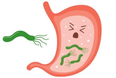 bactéria h. pylori