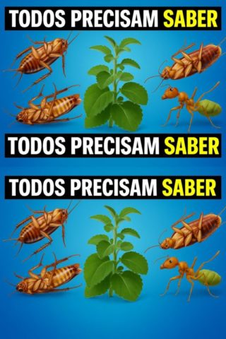 Repelente Natural Caseiro contra Baratas, Formigas, Moscas e Aranhas