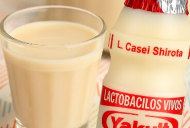 yakult caseiro