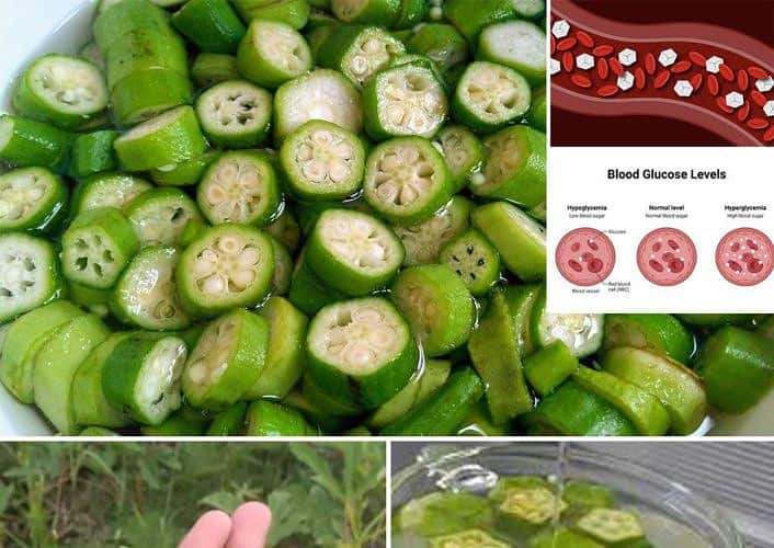 beber Água de quiabo todos os dias!