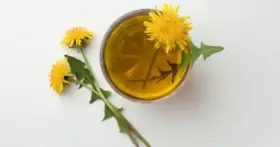 Chá de Dente-de-Leão: Alívio Natural Inchaço e Digestão