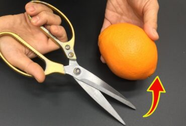 descascar laranja