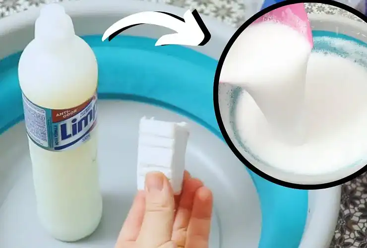 detergente caseiro de coco