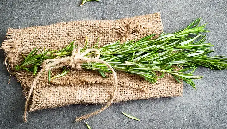 os poderes do alecrim