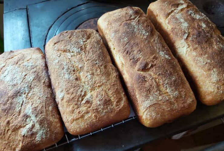 pao de milho moda antig