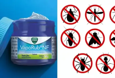 repel pests naturally using mentholated ointment