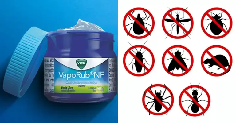 repel pests naturally using mentholated ointment