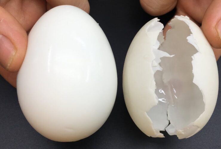 segredo dos restaurantes!