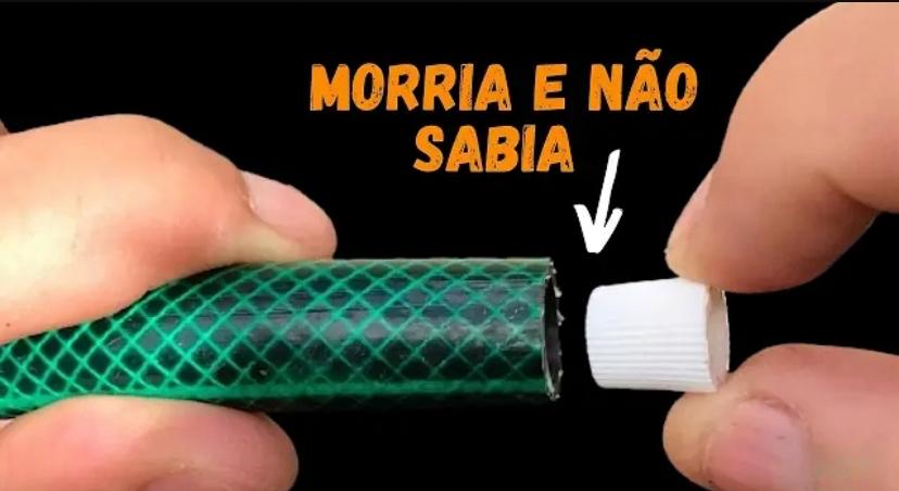 você não vai acreditar