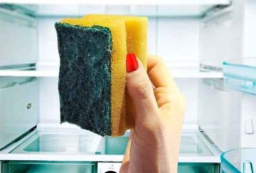 colocar uma esponja na geladeira