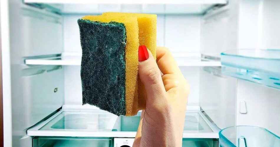 colocar uma esponja na geladeira