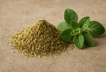 Orégano fresco e seco sobre a mesa, mostrando seus benefícios naturais para a saúde