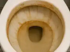 Vaso sanitário com acúmulo de calcário, ilustrando dicas de limpeza profissional para remover manchas no banheiro