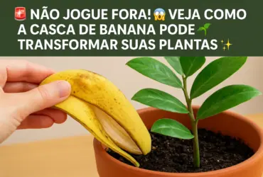 veja-como-a-casca-de-banana-pode-transformar-suas-plantas