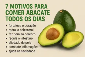 7 Motivos para Comer Abacate Todos os Dias