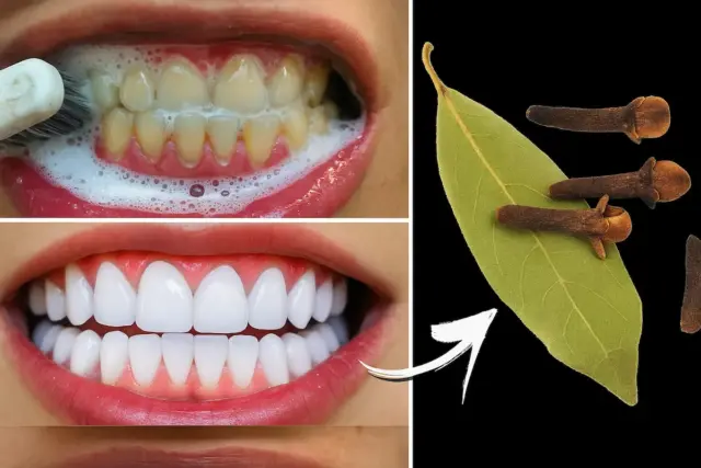Jamais cometa este erro com a Air Fryer 4 Clareie os Dentes Naturalmente em Poucos Minutos