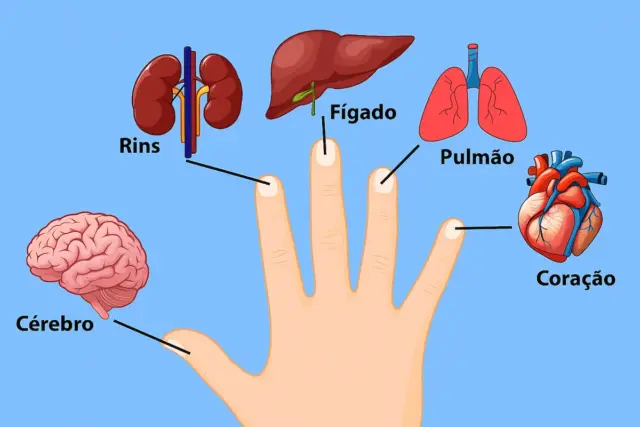 Jamais cometa este erro com a Air Fryer 3 Cada dedo está ligado a dois órgãos: aprenda a técnica japonesa de autocura em 5 minutos