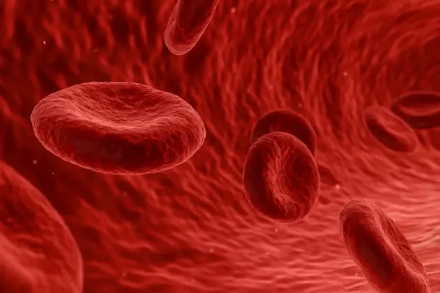 O que acontece no seu corpo quando você dorme do lado direito 2 Ter Este Tipo Sanguíneo Pode Te Fazer Envelhecer Mais Devagar